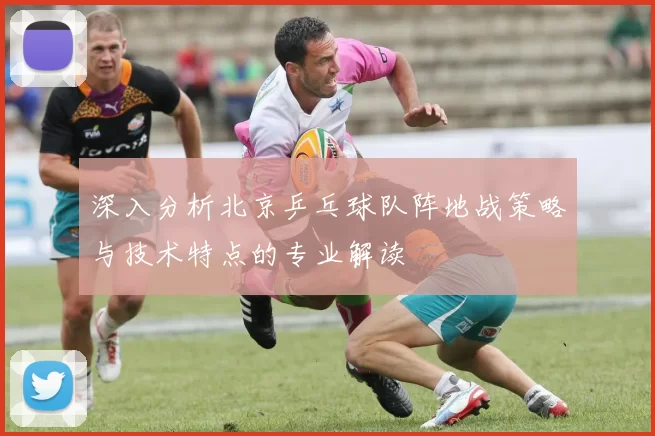深入分析北京乒乓球队阵地战策略与技术特点的专业解读