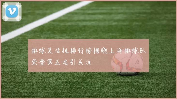排球灵活性排行榜揭晓上海排球队荣登第五名引关注