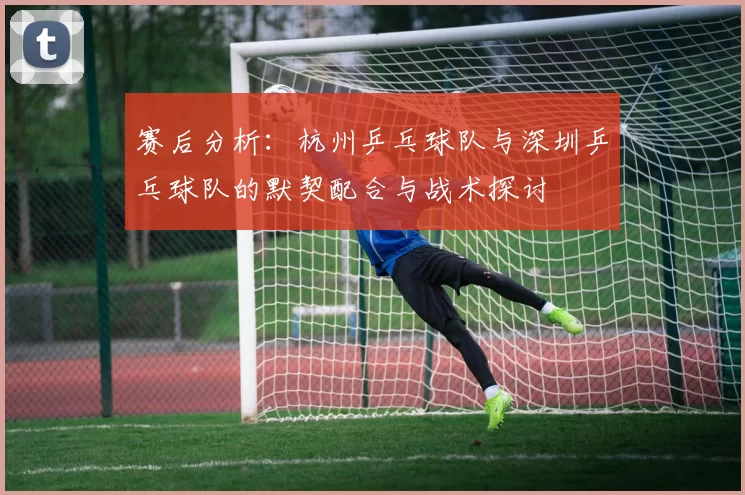 赛后分析：杭州乒乓球队与深圳乒乓球队的默契配合与战术探讨