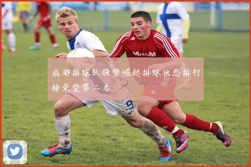 成都排球队强势崛起排球状态排行榜荣登第二名
