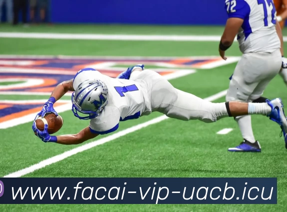 MK体育注册APP 封面图