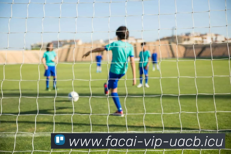 数据防护可视化